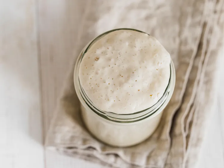 Your First Sourdough Starter: A Week-by-Week Guide