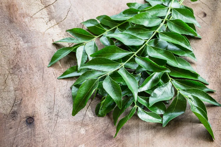 Curry Leaves: The Fresh Herb That Defines South Indian Cooking