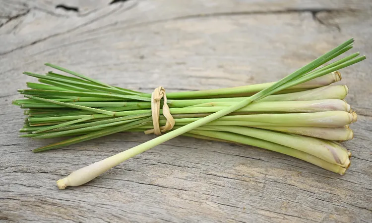 Lemongrass: The Stalk That Perfumes an Entire Cuisine