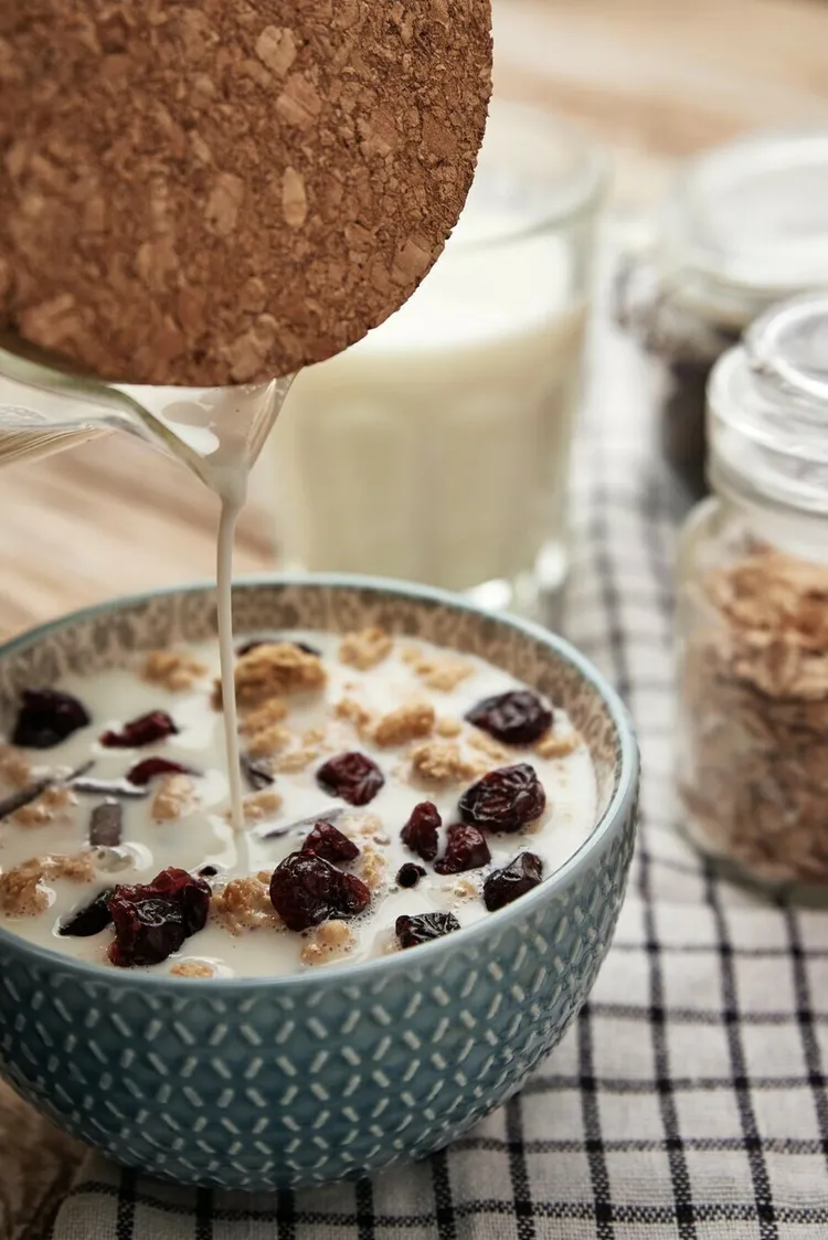 Coconut milk oatmeal date and raisin delight