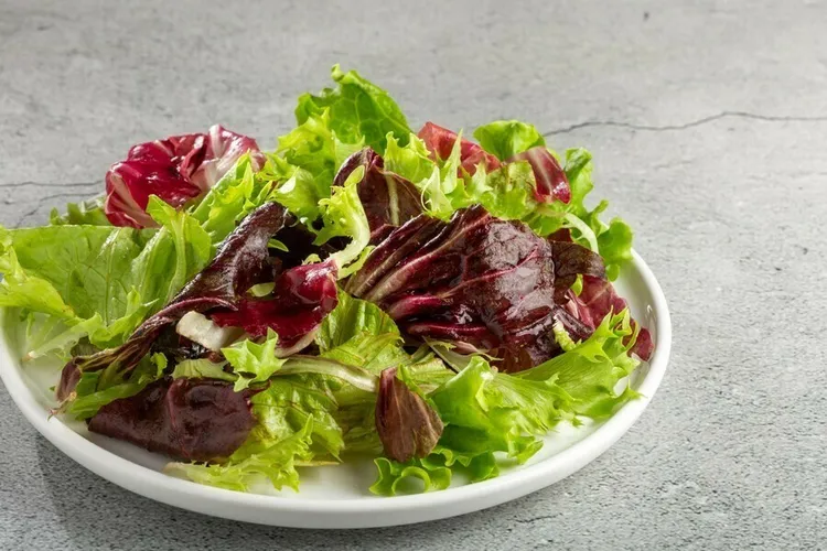 Red-leaf lettuce salad with shallot vinaigrette