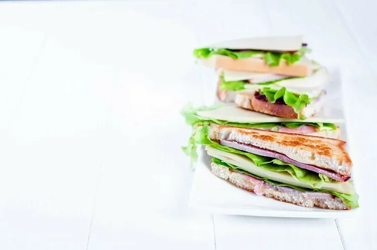 Open-faced salami and swiss sandwich with lettuce
