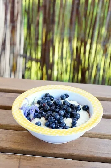 Honey-sweetened cottage cheese with blueberries