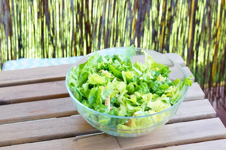 Green salad with spicy dressing