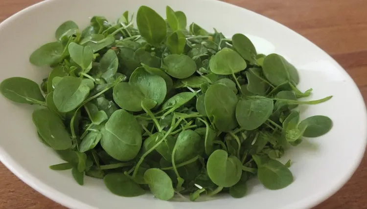 Watercress salad with honey-mustard dressing